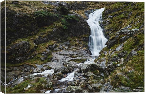 Moss Force waterfall. Cumbria, UK. Canvas Print by Liam Grant