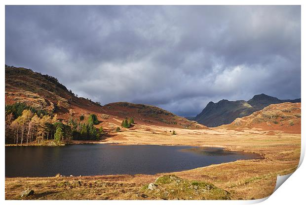 Blea Tarn with Langdale Pikes beyond. Cumbria, UK. Print by Liam Grant