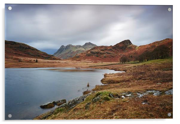 Blea Tarn with Langdale Pikes beyond. Cumbria, UK. Acrylic by Liam Grant