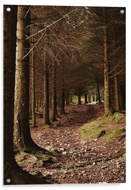 Path through forest near Blea Tarn. Cumbria, UK. Acrylic by Liam Grant