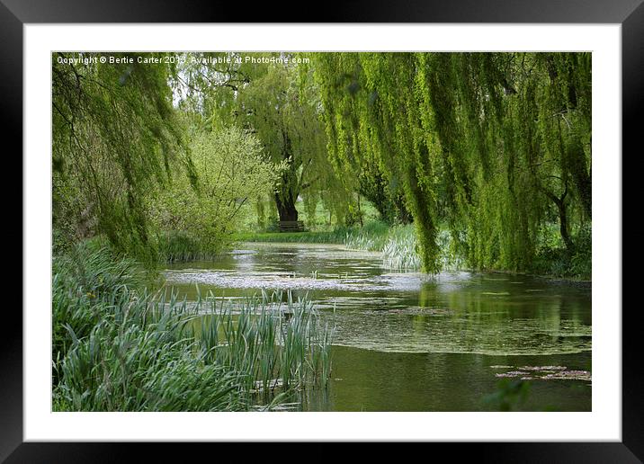  Pond and garden Framed Mounted Print by Bertie Carter