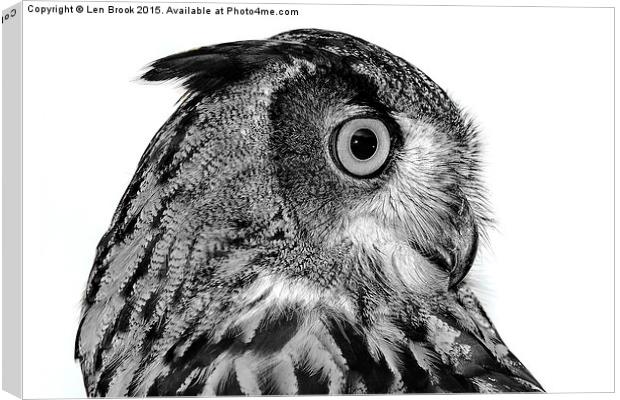 Eurasian Eagle Owl Canvas Print by Len Brook