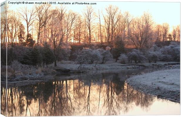  Frosty Reflection 2 Canvas Print by shawn mcphee I