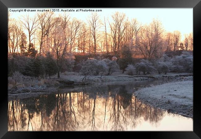  Frosty Reflection 2 Framed Print by shawn mcphee I
