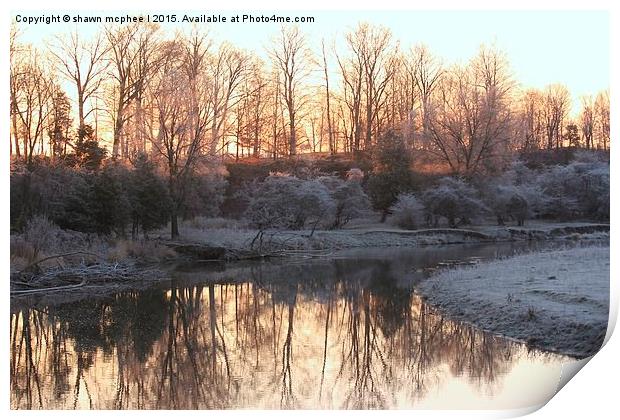  Frosty Reflection 2 Print by shawn mcphee I