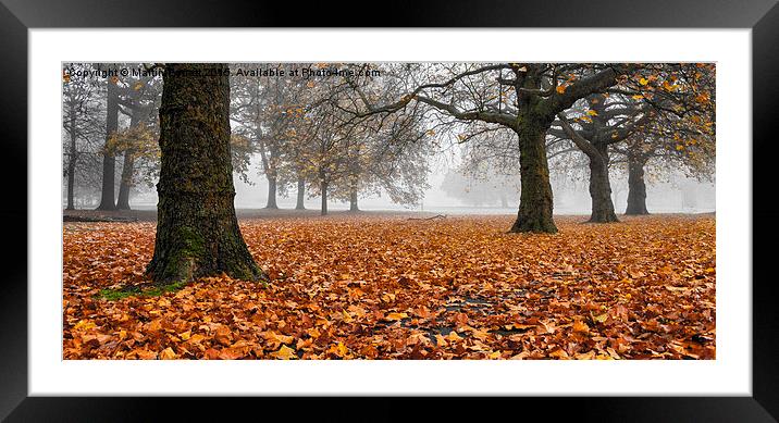 Autumn leaves Framed Mounted Print by Martin Parratt