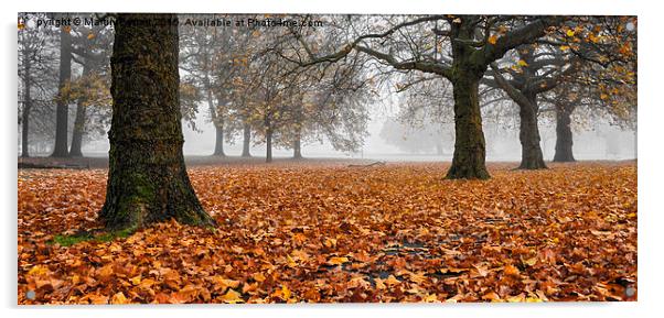 Autumn leaves Acrylic by Martin Parratt