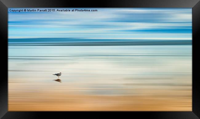 Bird on Bamburgh Beach Framed Print by Martin Parratt