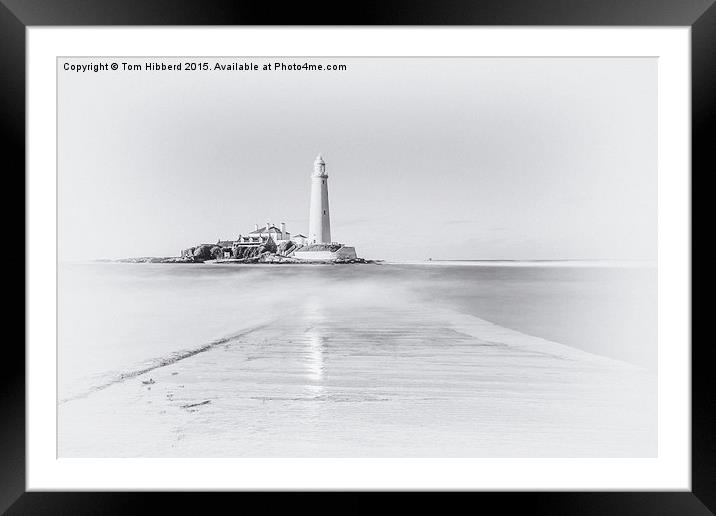  Dreaming about St Mary's Lighthouse Framed Mounted Print by Tom Hibberd