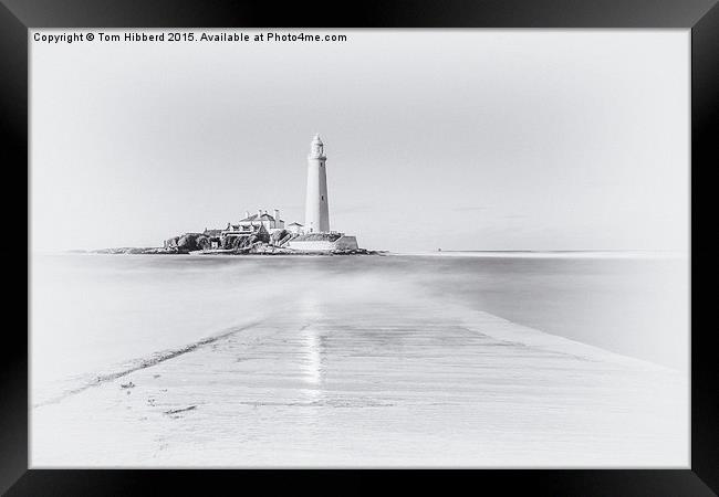  Dreaming about St Mary's Lighthouse Framed Print by Tom Hibberd