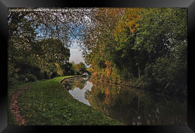  Oxford Canal in the Autumn Framed Print by Avril Harris