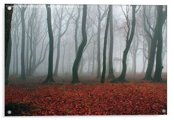  Foggy Forest Acrylic by Richard Auty