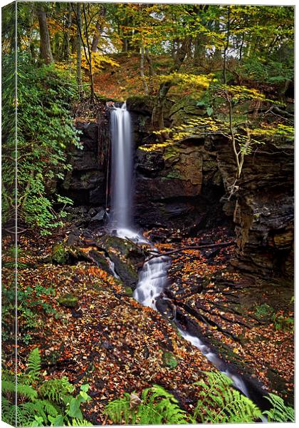 Cascading Falls in Lumsdale  Canvas Print by Darren Galpin