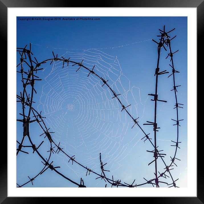 A tangled web Framed Mounted Print by Keith Douglas