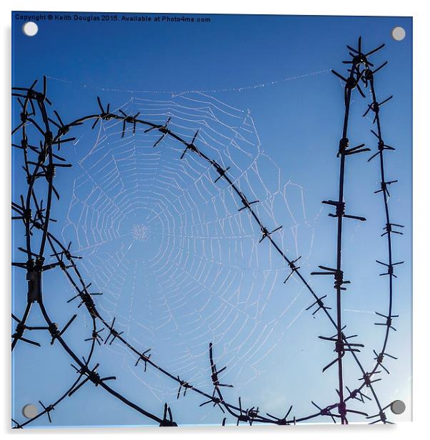 A tangled web Acrylic by Keith Douglas