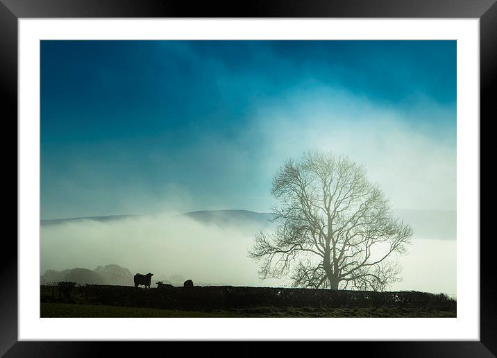 Mystical Cows Graze in Ethereal Forest Framed Mounted Print by P D