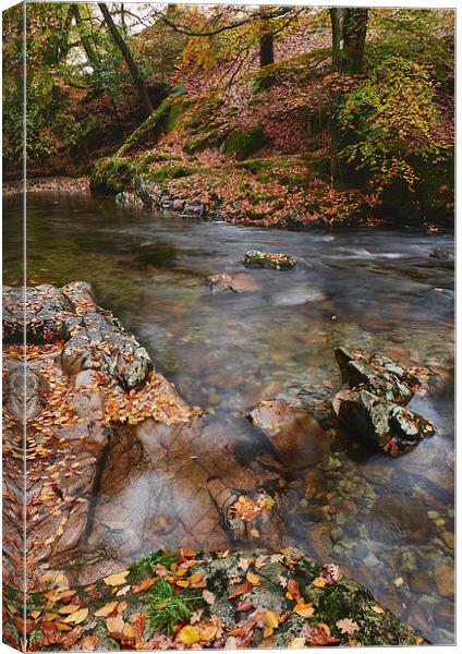 Autumnal trees and leaves along the River Esk. Esk Canvas Print by Liam Grant