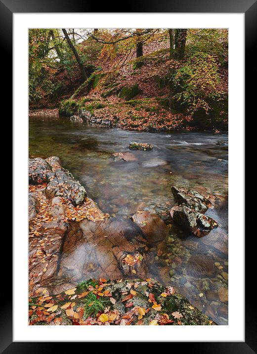 Autumnal trees and leaves along the River Esk. Esk Framed Mounted Print by Liam Grant