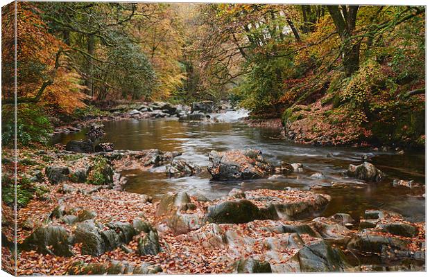 Autumnal trees and leaves along the River Esk. Esk Canvas Print by Liam Grant