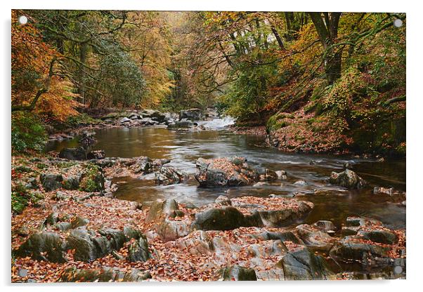 Autumnal trees and leaves along the River Esk. Esk Acrylic by Liam Grant