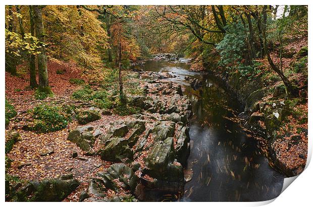 Autumnal trees and leaves along the River Esk. Esk Print by Liam Grant