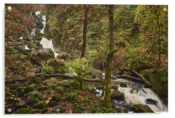 Lodore Falls waterfall after heavy rain. Borrowdal Acrylic by Liam Grant