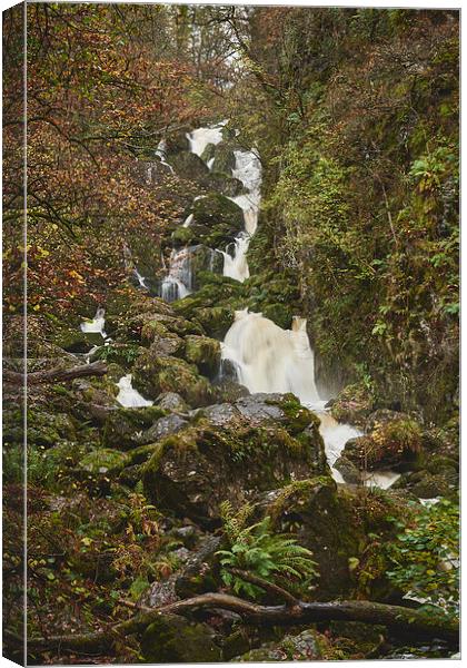 Lodore Falls waterfall after heavy rain. Borrowdal Canvas Print by Liam Grant