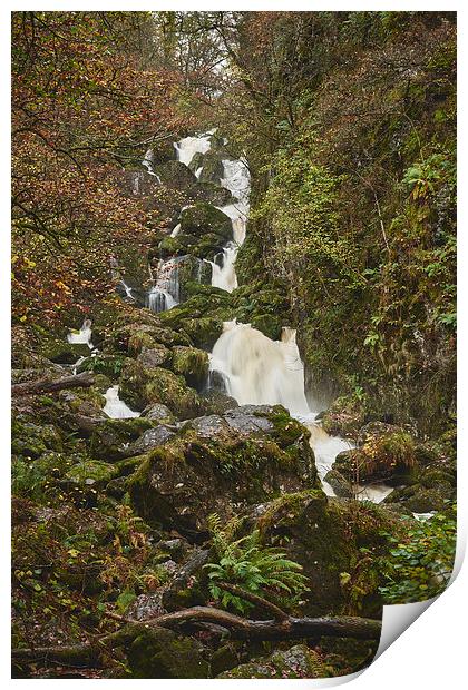 Lodore Falls waterfall after heavy rain. Borrowdal Print by Liam Grant