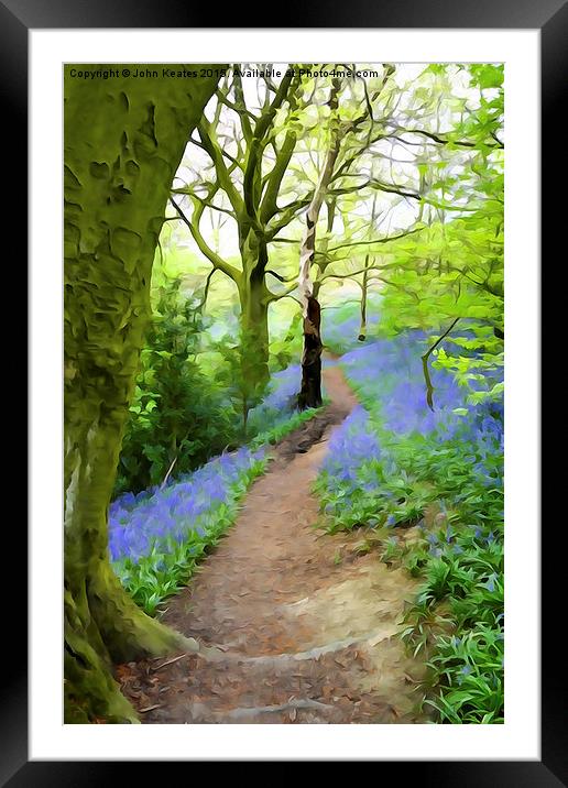 Target Wood Bluebells Framed Mounted Print by John Keates