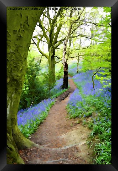 Target Wood Bluebells Framed Print by John Keates