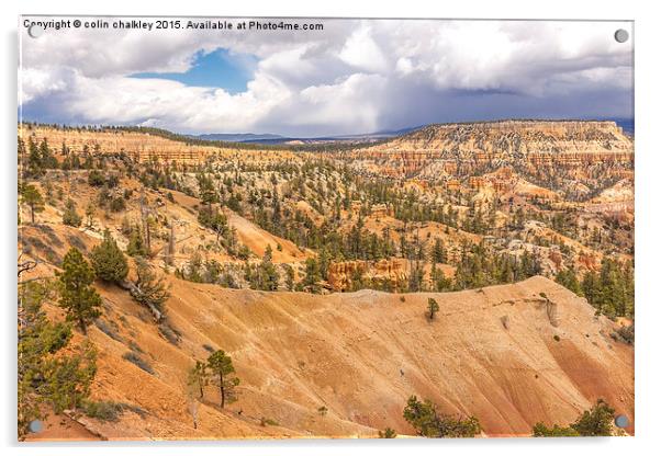  Bryce Canyon Hoodoos - USA Acrylic by colin chalkley