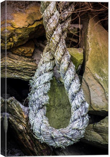 The Lonely Hemp Stranded on the Rocks Canvas Print by P D