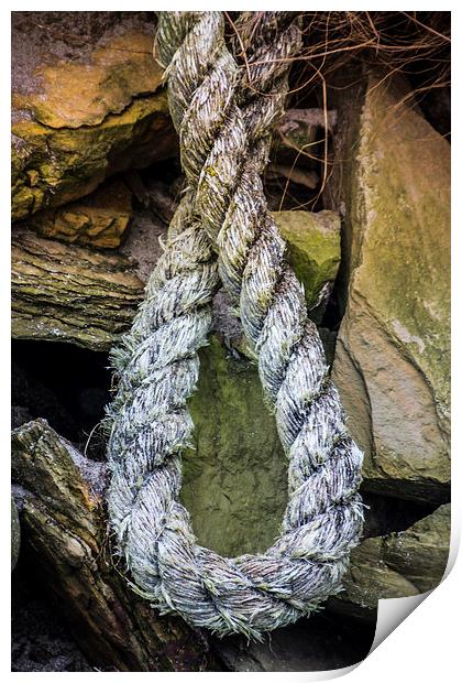 The Lonely Hemp Stranded on the Rocks Print by P D