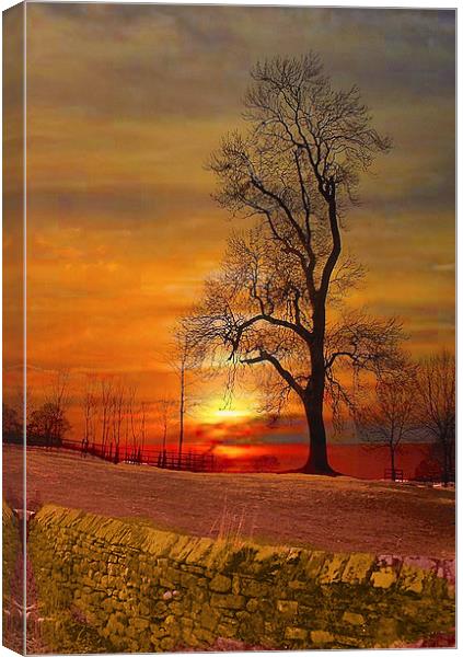  The Lone Tree Canvas Print by Irene Burdell