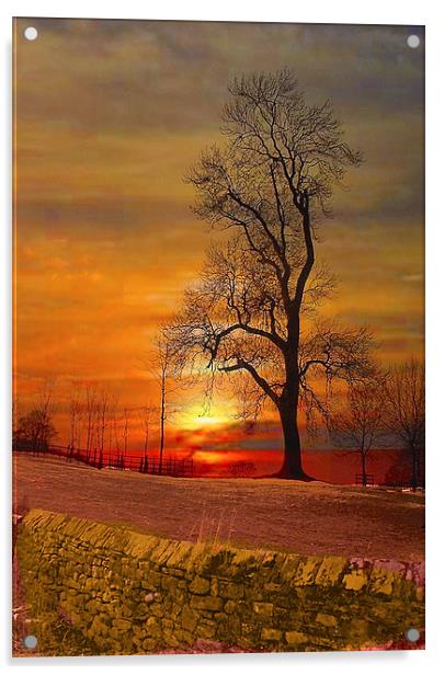 The Lone Tree Acrylic by Irene Burdell