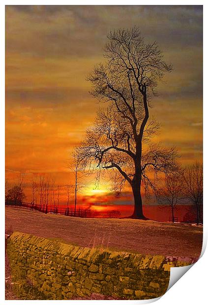  The Lone Tree Print by Irene Burdell