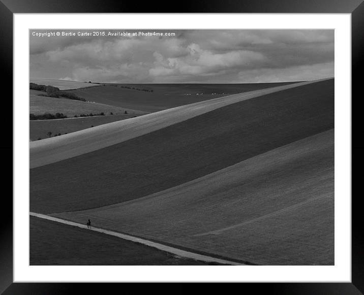  Black and white fields Framed Mounted Print by Bertie Carter