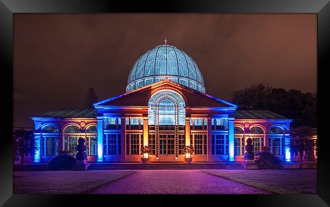  The Great Conservatory at Syon Park Framed Print by Colin Evans