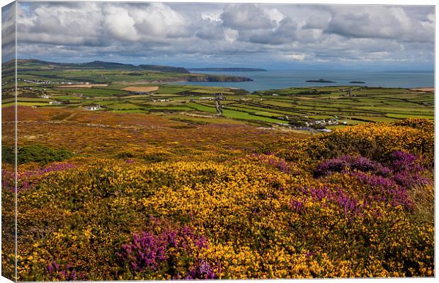 Braich y Pwll Canvas Print by Thomas Schaeffer