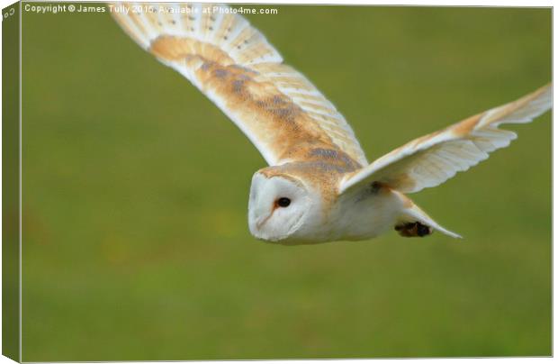  Flight of the owl Canvas Print by James Tully
