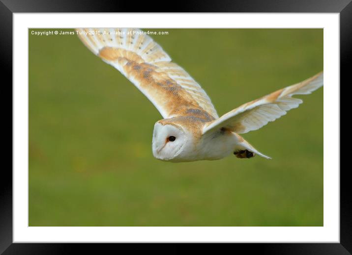  Flight of the owl Framed Mounted Print by James Tully