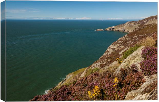 South Stack Canvas Print by Thomas Schaeffer