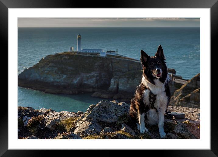 Ayla at the South Stack Framed Mounted Print by Thomas Schaeffer