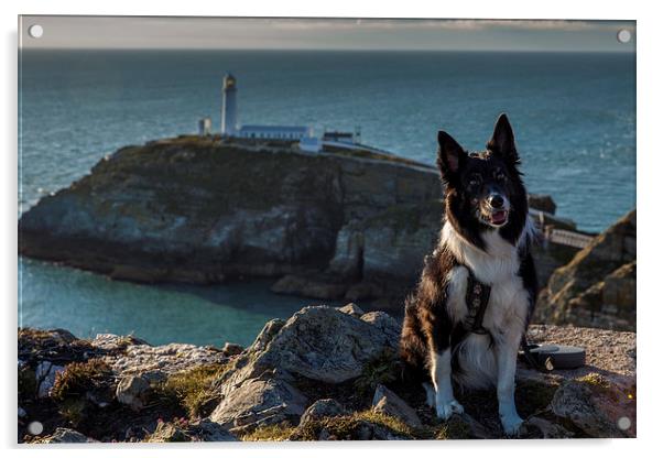 Ayla at the South Stack Acrylic by Thomas Schaeffer
