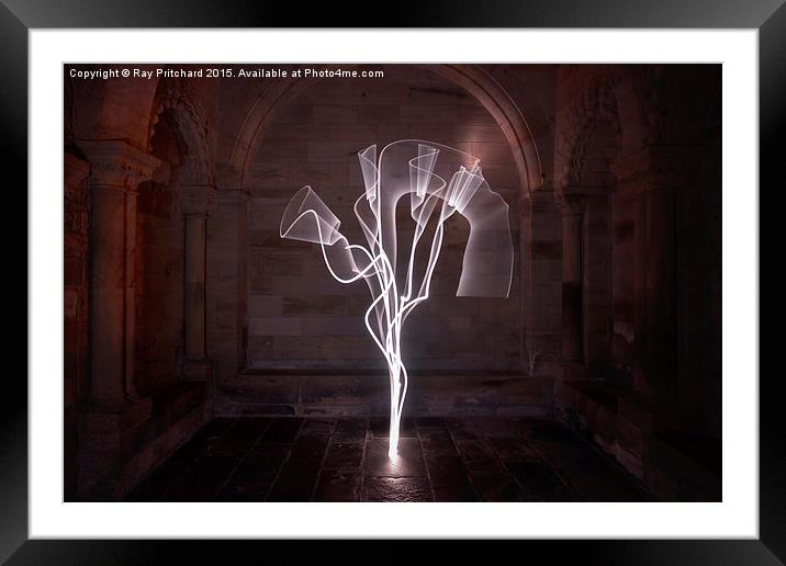  Tree of Light Framed Mounted Print by Ray Pritchard