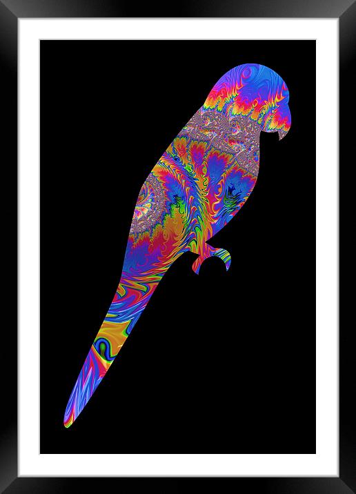 Fractal Parrot on Black Framed Mounted Print by Steve Purnell