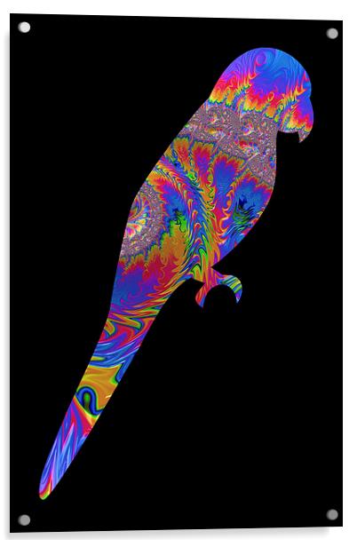 Fractal Parrot on Black Acrylic by Steve Purnell