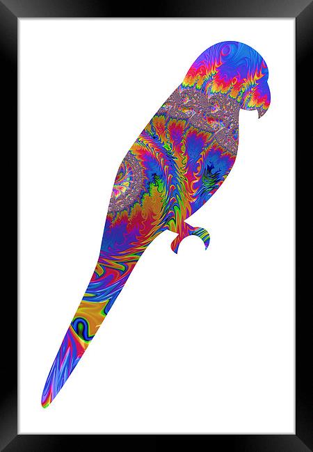 Fractal Parrot on White Framed Print by Steve Purnell