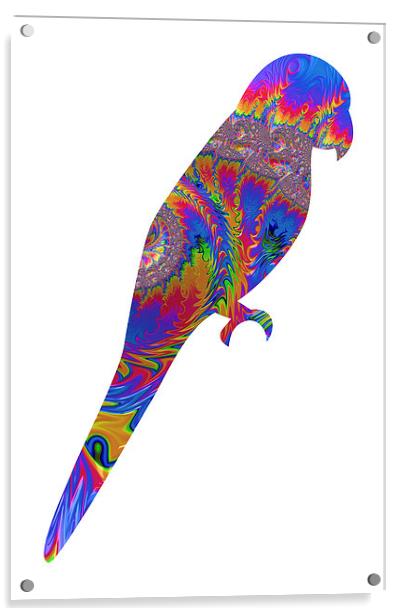 Fractal Parrot on White Acrylic by Steve Purnell