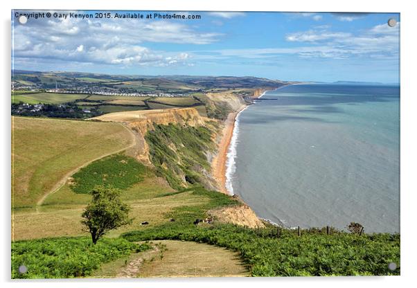 Dorset Views From Thorncombe Beacon Acrylic by Gary Kenyon